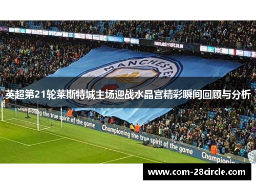 英超第21轮莱斯特城主场迎战水晶宫精彩瞬间回顾与分析