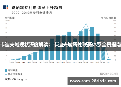 卡迪夫城现状深度解读：卡迪夫城所处联赛体系全景指南