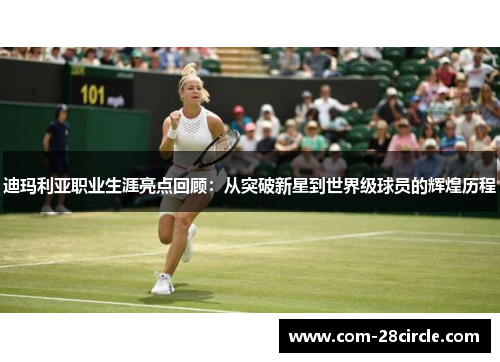 迪玛利亚职业生涯亮点回顾：从突破新星到世界级球员的辉煌历程