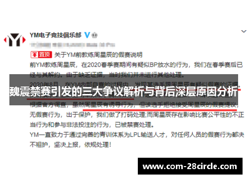 魏震禁赛引发的三大争议解析与背后深层原因分析 魏震禁赛引发的三大争议解析与背后深层原因分析
